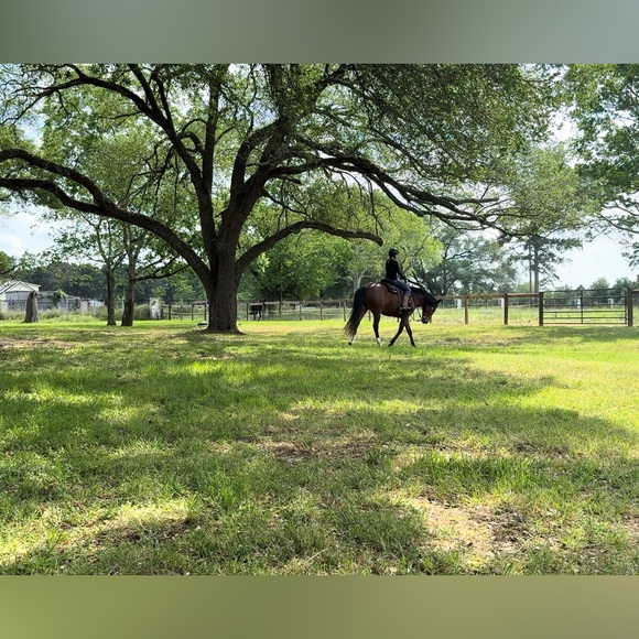 Meet your Posher, Heather - Picture 3 of 4